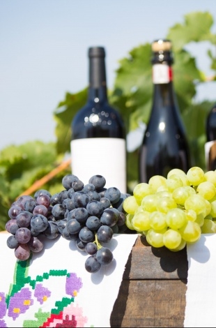 Moldova va găzdui Conferința Mondială a Turismului Vinicol