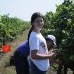 Vinăria EtCetera – cultivă relații