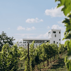 Vinăria Poiana
